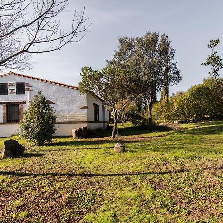El Pueblo De Leo Otel Badajoz Dış mekan fotoğraf