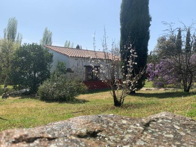 El Pueblo De Leo Otel Badajoz Dış mekan fotoğraf