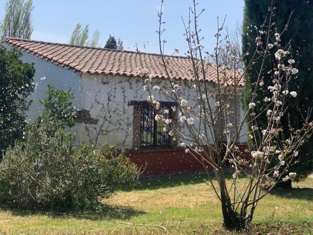 El Pueblo De Leo Otel Badajoz Dış mekan fotoğraf