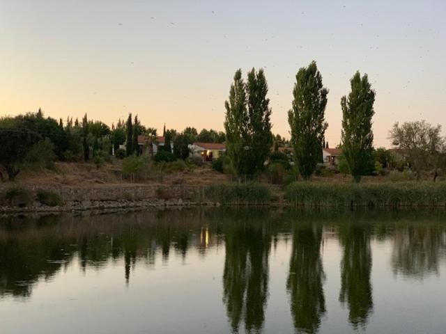 El Pueblo De Leo Otel Badajoz Dış mekan fotoğraf