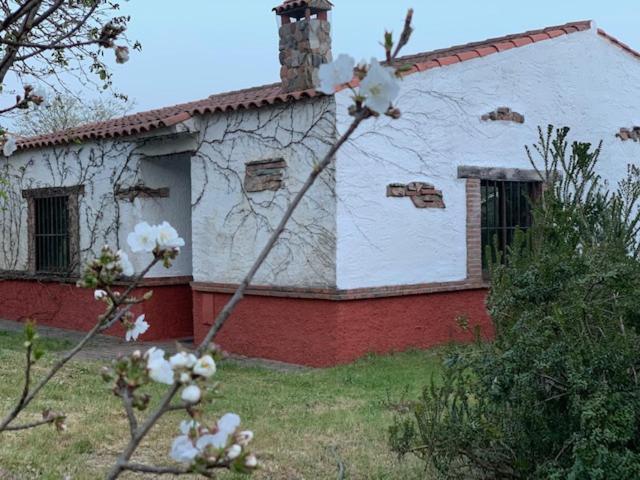 El Pueblo De Leo Otel Badajoz Dış mekan fotoğraf